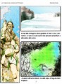 /album/illustrazioni/pagina-3-jpg/